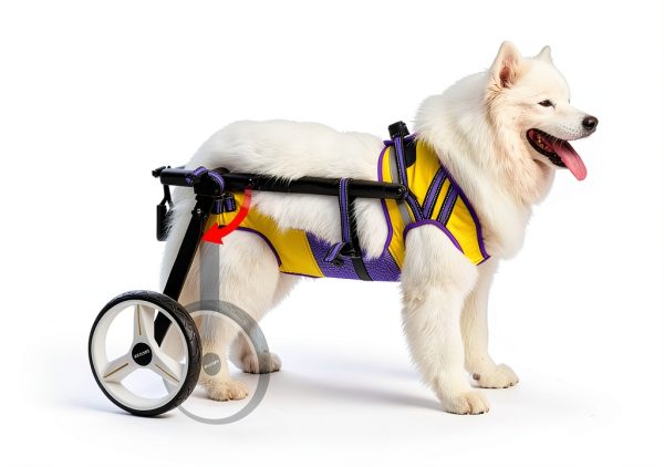 Lokshun Dog Wheelchair Back Legs Aluminum Adjustable X-Large-4