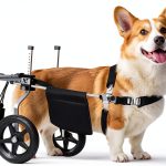 Virbraroo Dog Wheelchair Adjustable Lightweight Mobility Aid-0
