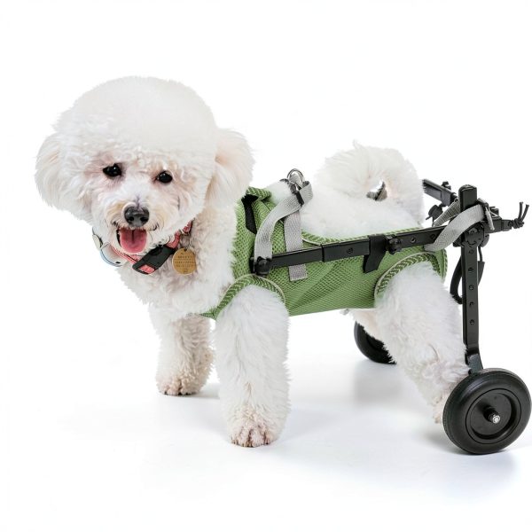 Pet Baby Dog Wheelchair Adjustable Lightweight Olive Green-3